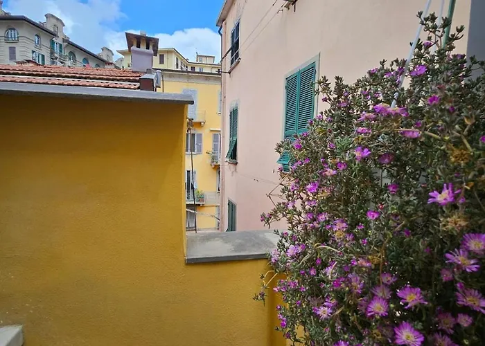 Frem Lord 게스트하우스 4*